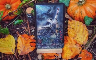 Samhain: Was wir von der Natur lernen können
